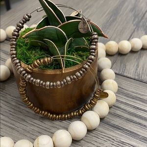 Alex and ani bracelet